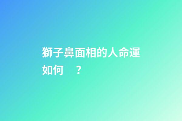 獅子鼻面相的人命運如何？